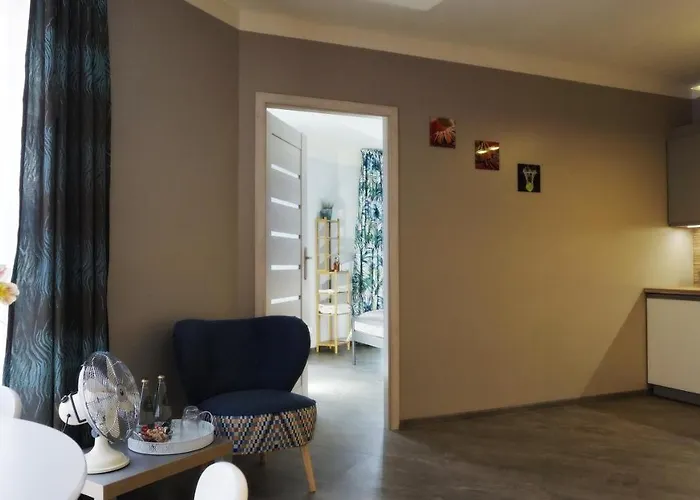 Kat - W Centrum, Najwyzsze Opinie Gosci * Jelenia Gora