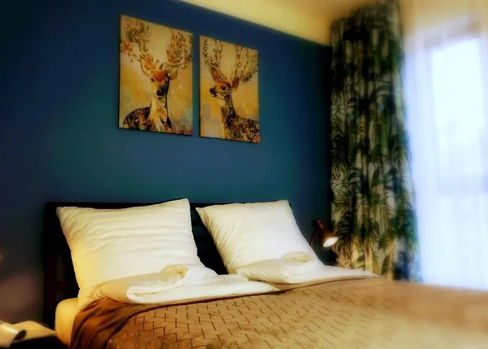 Kat - W Centrum, Najwyzsze Opinie Gosci Apartment